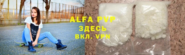 стафф Арсеньев