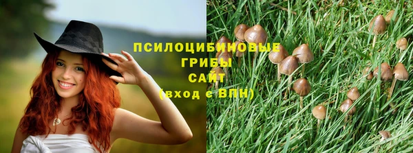 стафф Арсеньев