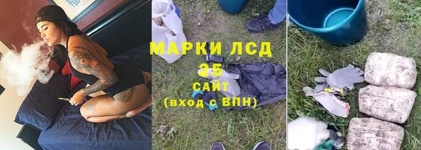 эйфоретик Алзамай