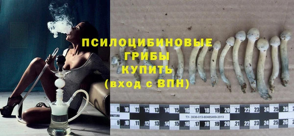 молекула духа Гвардейск
