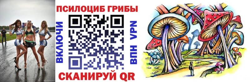 Псилоцибиновые грибы Psilocybe Енисейск