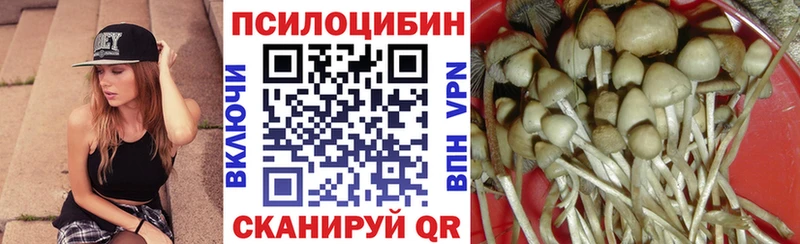 Галлюциногенные грибы GOLDEN TEACHER  купить   Енисейск 